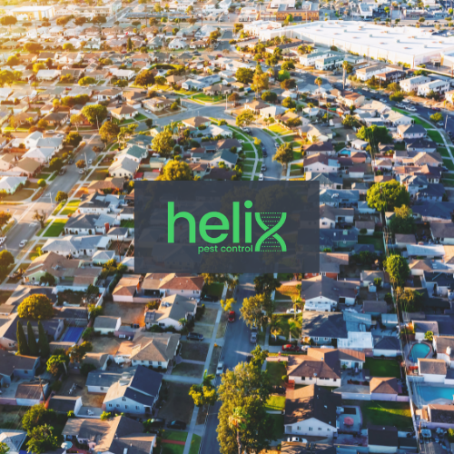 Bugs and Rodents can be a hassle, let a local company take care of it for you.
helixpestcontrol.com