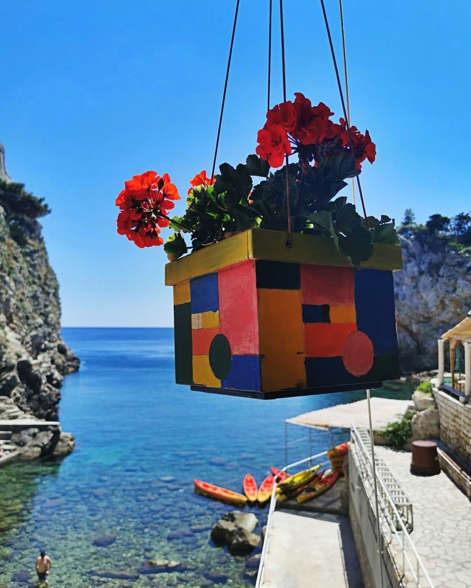 Come to Dubrovnik, and enjoy the view! From our rocks to our waters, Dubrovnik is a paradise on earth and looks even better from the top 😉😉😉

📷 @lbaphotography_
🇭🇷 dubrovnik-croatia.com

#dubrovnikcroatia #visitdubrovnik #dubrovnikonmymind #visitcroatia #croatia #Travel