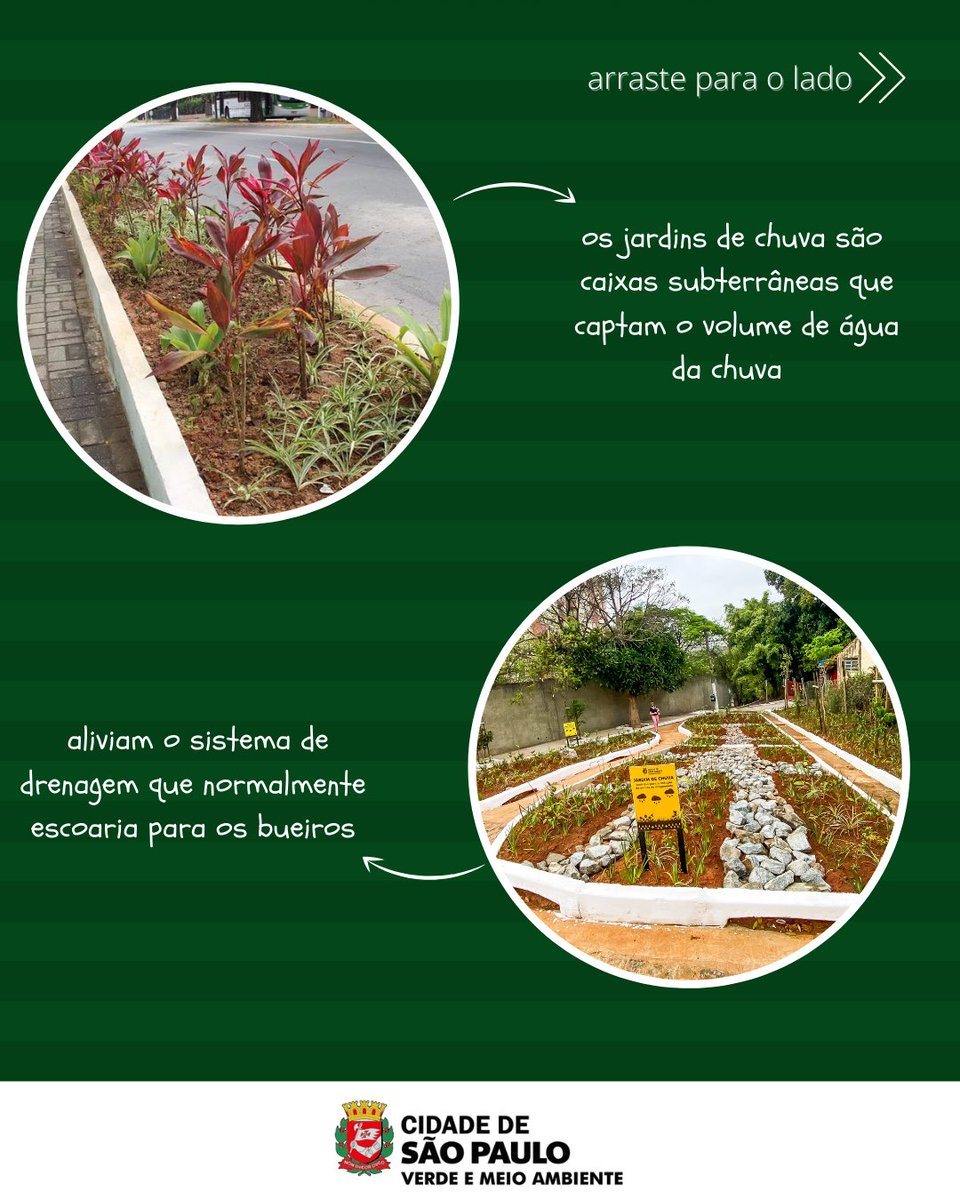svmasp's tweet photo. Os Jardins de Chuva facilitam o escoamento das águas pluviais e contribuem com a redução de alagamentos, por meio de um sistema de drenagem subterrâneo.

Você sabia disso?

#jardimdechuva #meioambiente #natureza #svma #saopaulo #sp #chuva #alagamentos https://t.co/xW6KK6oFkS