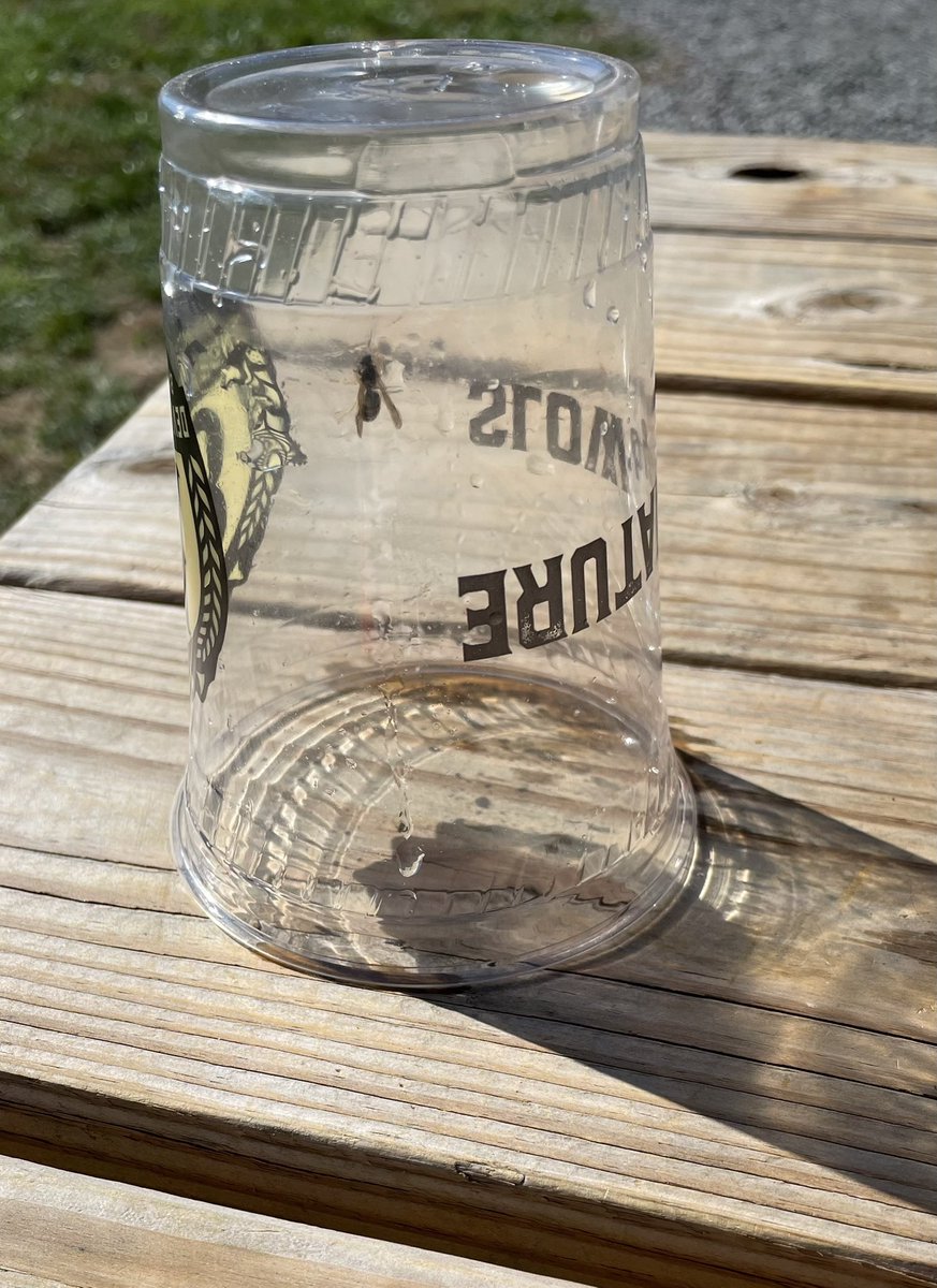 CaseyPash's tweet image. Catching @GTFootball at @dbbrewingco on the way to cheer on @UVAFootball! #wahoowa #4thside