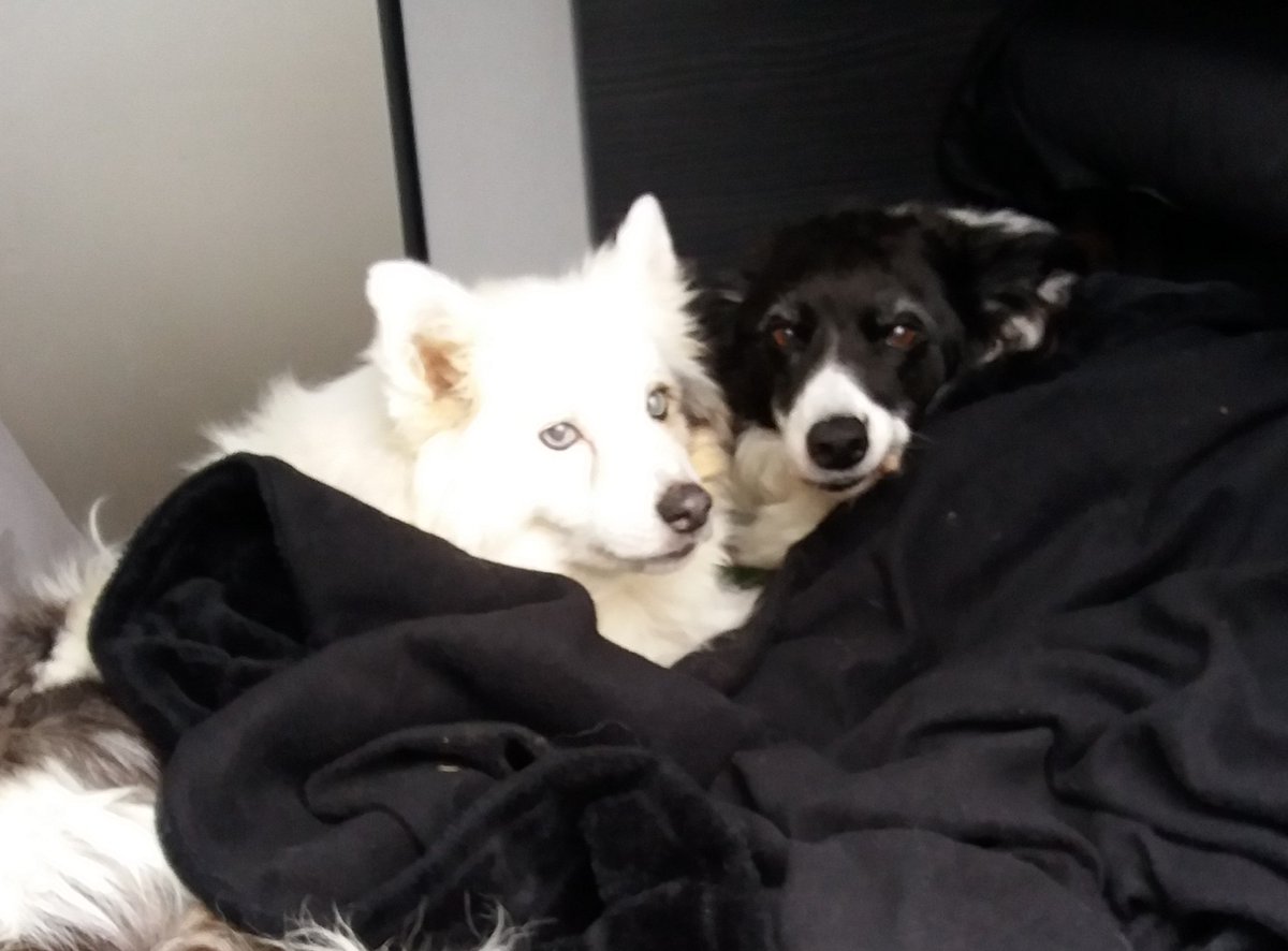 Murf's Mum tweet media