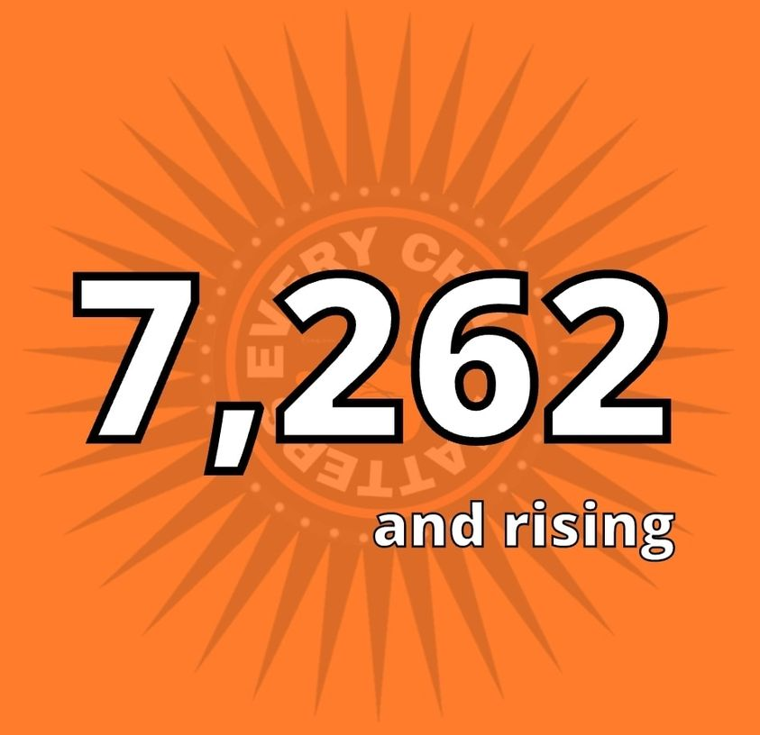 Turtle Island Native (@turtleislandna1) on Twitter photo 