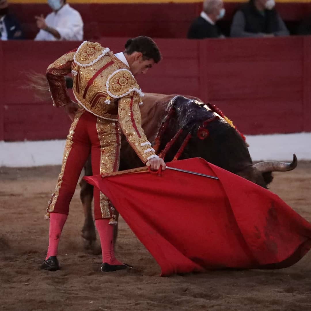 Fundación Toro Lidia tweet media