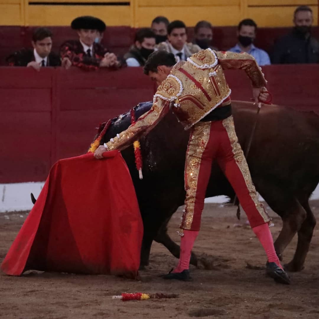 Fundación Toro Lidia tweet media