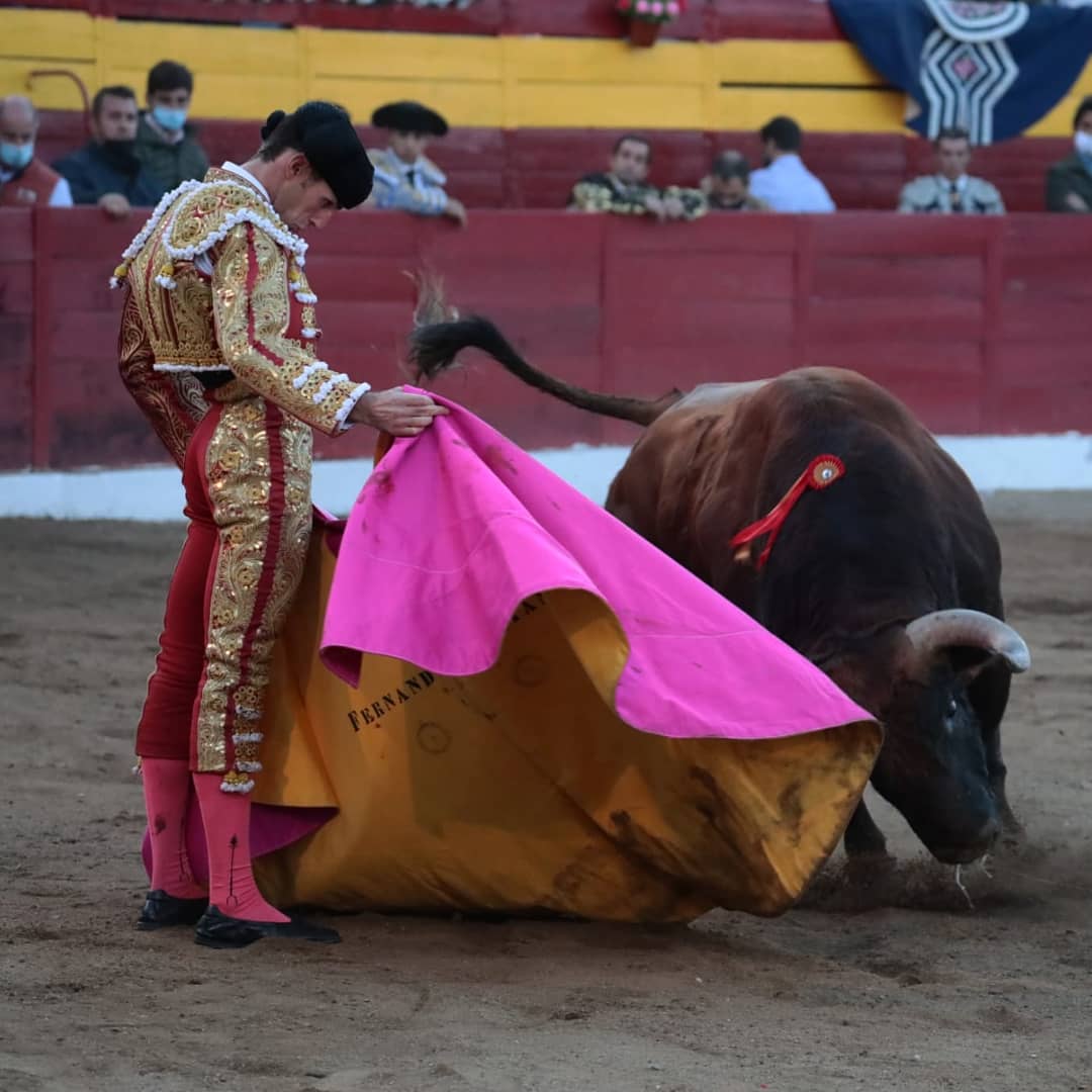 Fundación Toro Lidia tweet media