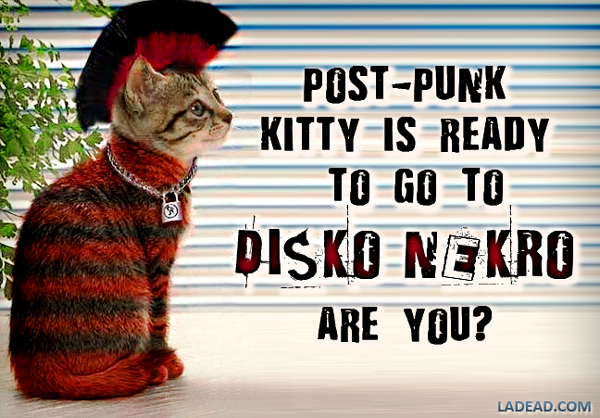 ►► TONIGHT, Saturday 10/23 in Los Angeles!
►► MONSTER MASH @ DISKO.NEKRO HeadphoneSkullBat
►► 2 Levels of Old School Goth &amp; Industrial

Facebook Event ($8 Guestlist) @ facebook.com/events/1247608…
$5 Guestlist @ LADEAD.com/NEKRO