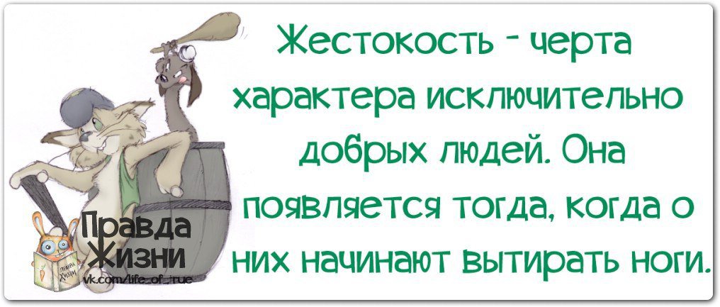 Ее добром характере в. Правда жизни юмор. Жестокая правда жизни. Если об вас вытирают ноги цитаты. Вытерли ноги об меня.