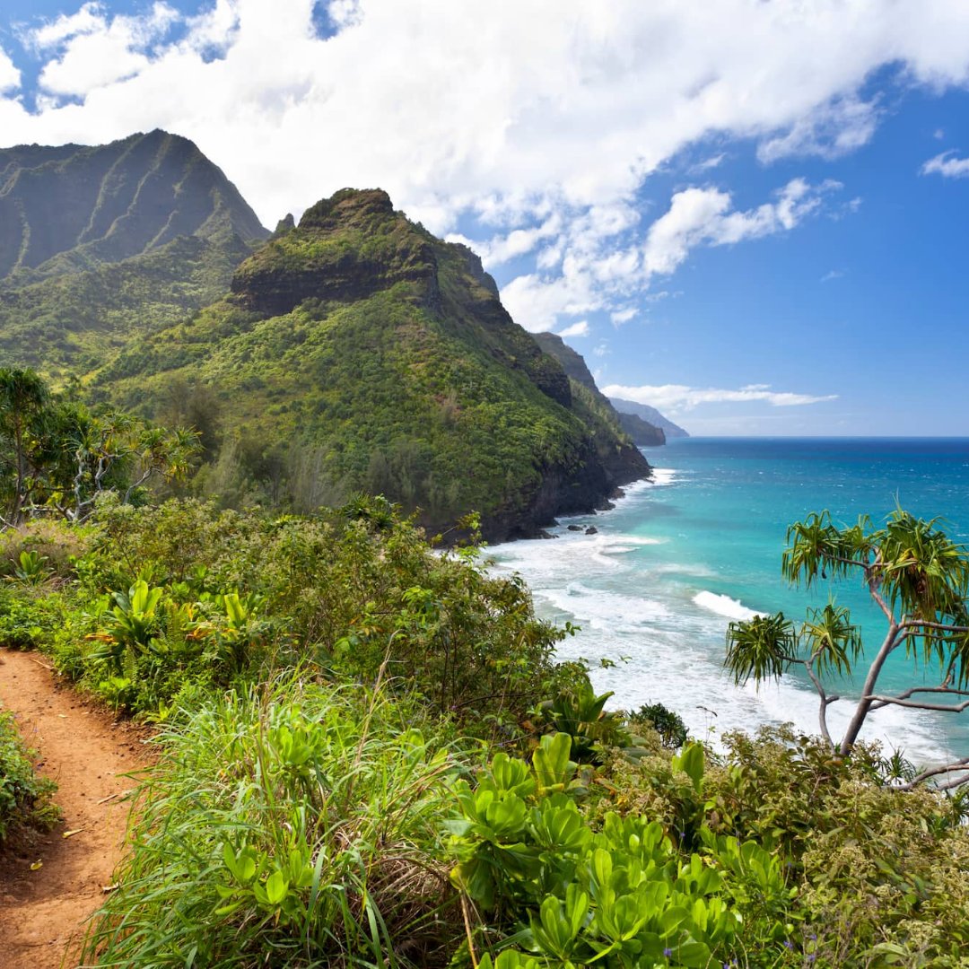 NowBoarding_'s tweet photo. De 11 km lange Kalalau Trail is ruig, uitdagend, afgelegen, uitzonderlijk mooi en loopt langs de adembenemende Na Pali Coast op het eiland Kauai in Hawaï. Het is aan te raden om met een lokale gids op verkenning te gaan. 🏝
#Nowboarding #Hawaï #natuur #reizen #Kalalau Trail https://t.co/0OV407zQgp