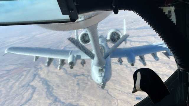 NugesGoose's tweet photo. h8rs will say its fotoshop. NKAWNugesGooseG. https://t.co/kgiWaupIVA