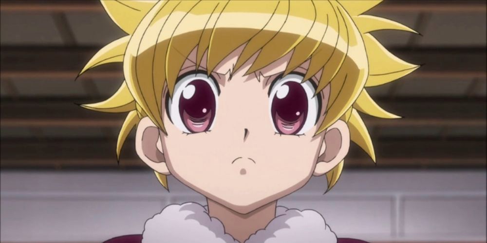 Бисквит хантер. Хантер х хантер бискет. Бисквит хантер. Бискет крюгер. Hxh биски.