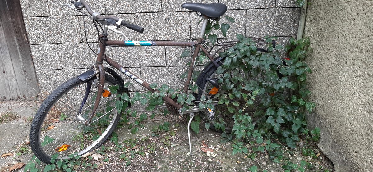 schreibmaschin1's tweet photo. Schรถ' longsam wochs ma z'sam... #Fahrrad #bicycle #lostbikes https://t.co/l0ACIvvkjx