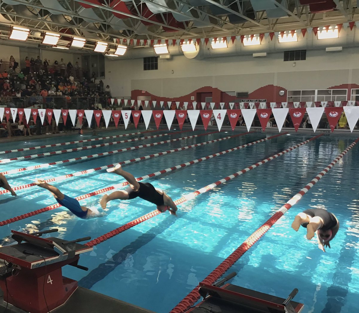 Herseyswim's tweet photo. Our distance divas take on the 500 freestyle💪🏼🏊🏼‍♀️#123AGAIN #mimicaughtlackin #HerseyHuskies @Matuszewski214 https://t.co/6SvPaVGJCp