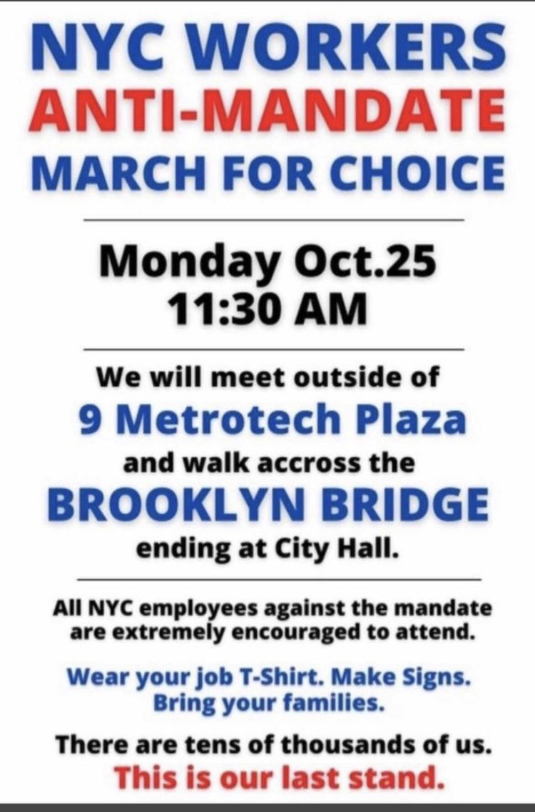 ritamollerpalma's tweet image. 