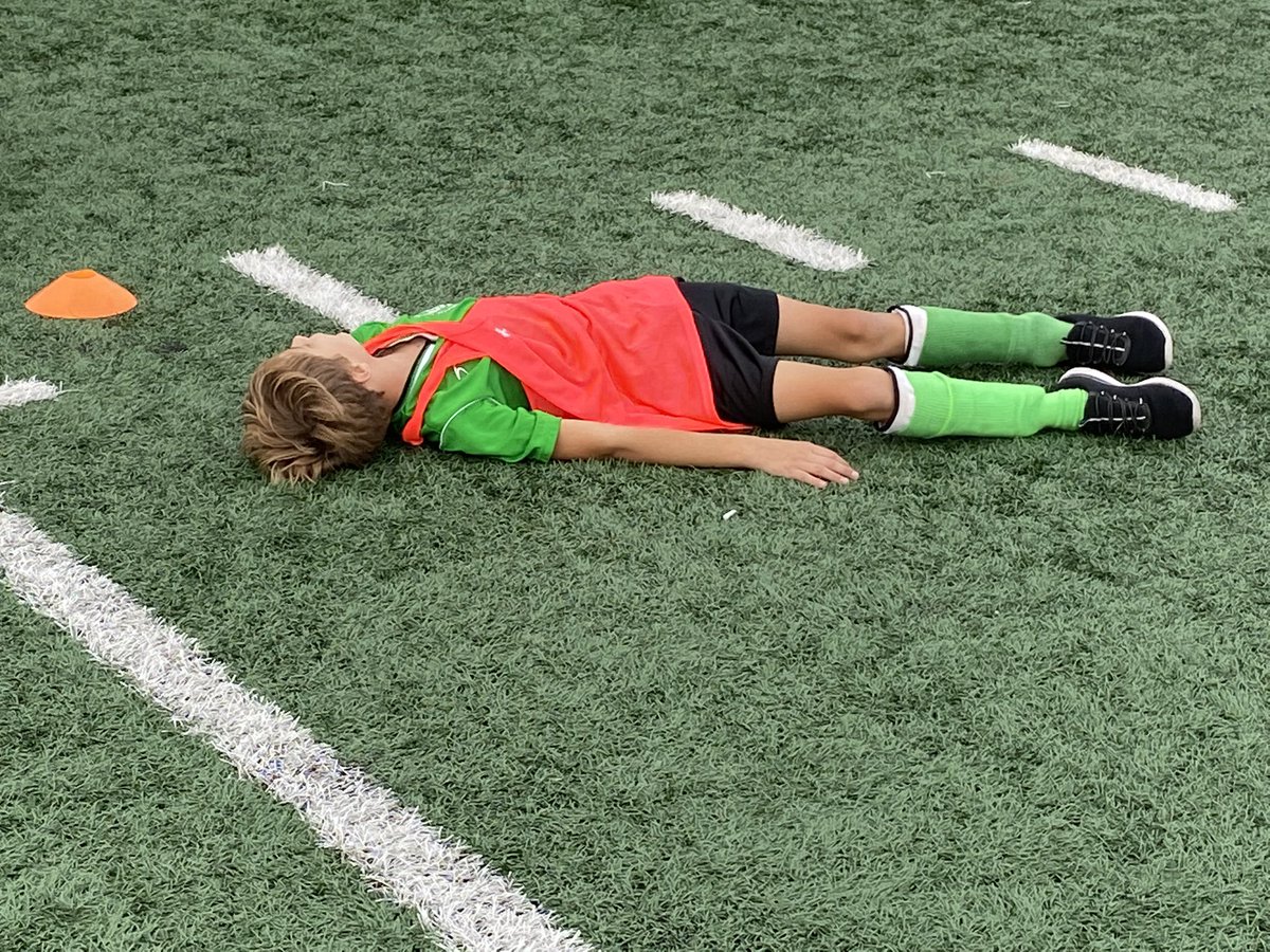 MECHS PE tweet media