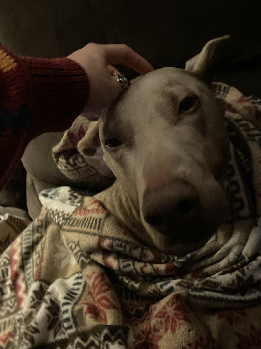 frrets's tweet image. say hi