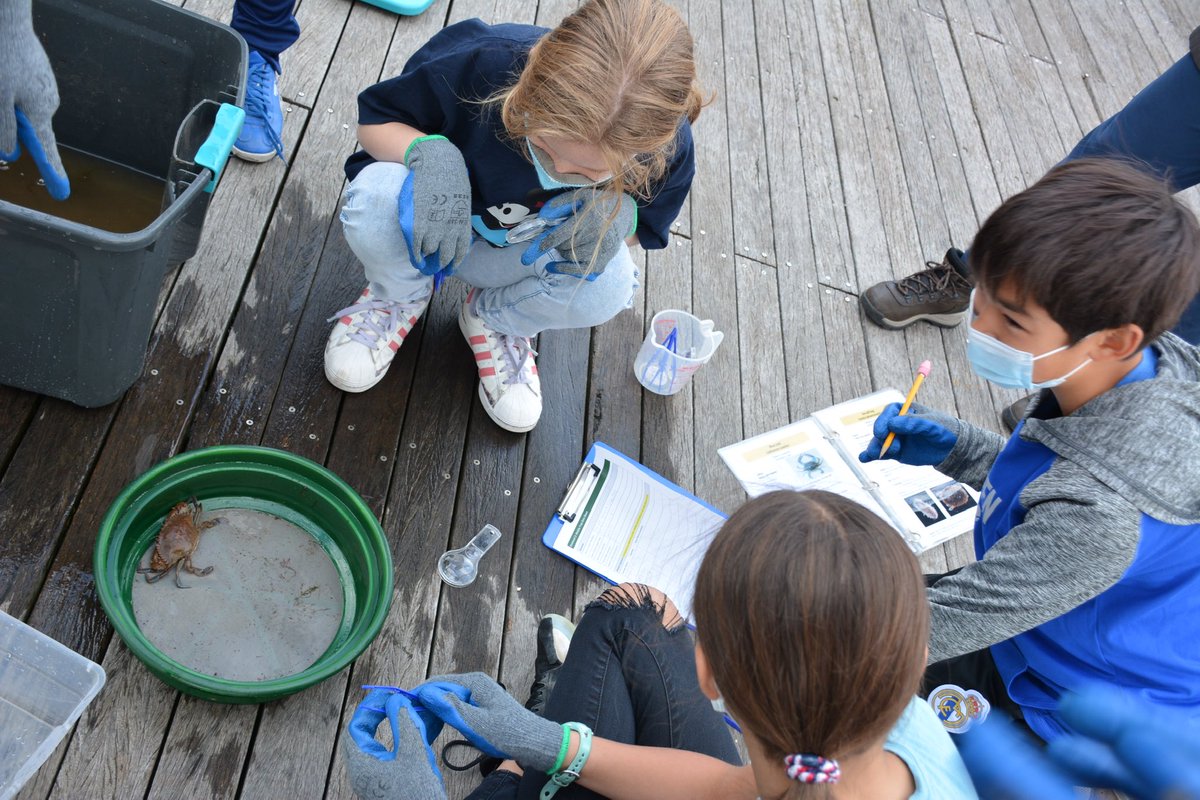 TheTownSchool's tweet photo. 6th graders collecting data for the @BillionOyster last week! Students examined, cleaned and measured the oysters; recorded water and weather conditions; and observed and recorded the organisms cohabitating in the oysters’ cage. #science #realworld #joywithpurpose https://t.co/GVEFsza1tN
