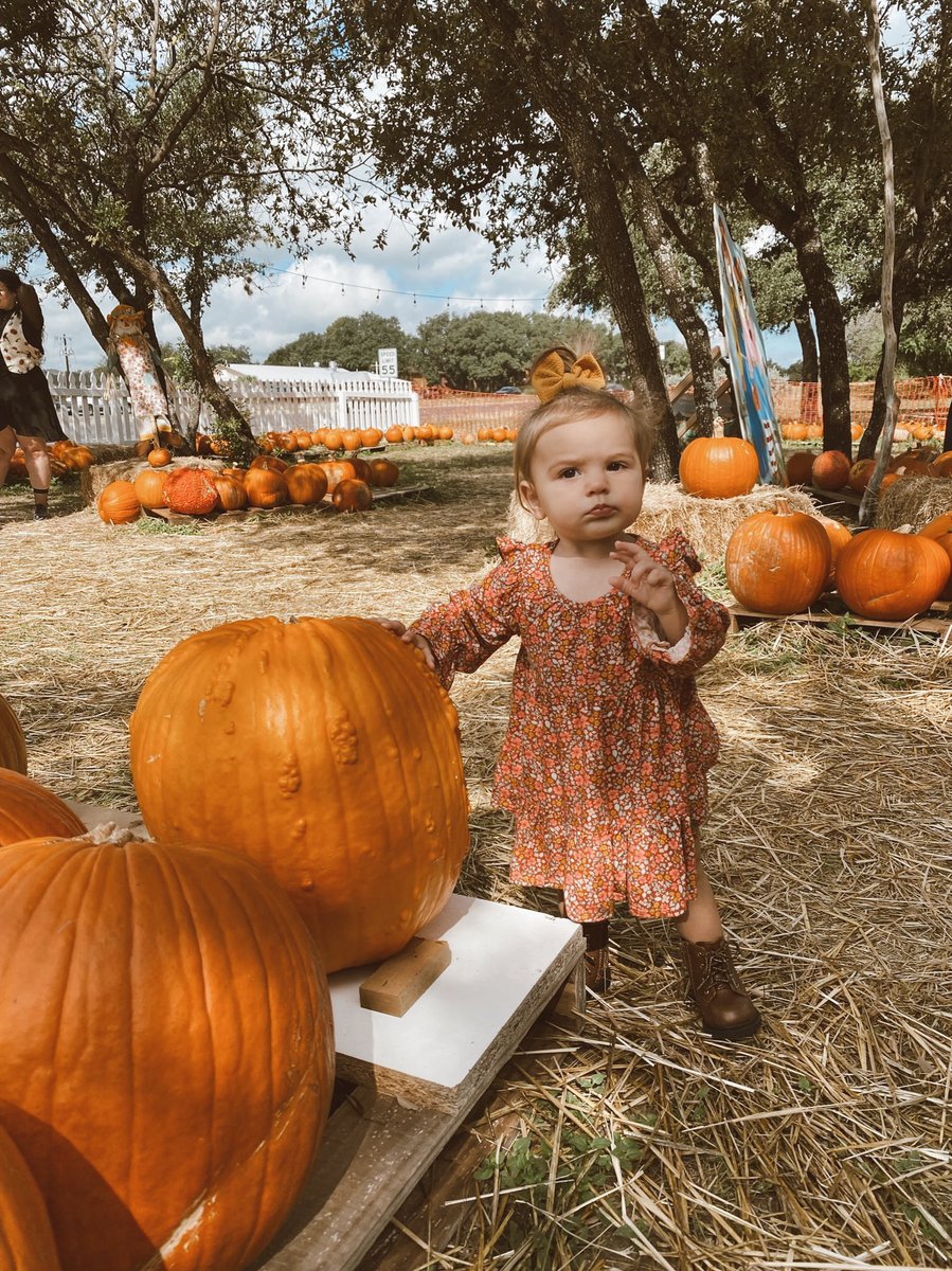zandybauer's tweet photo. 🧡🍂 https://t.co/IVvYtodFLd