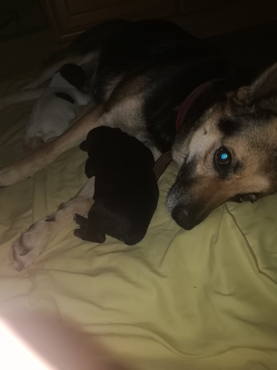 🥺🥰