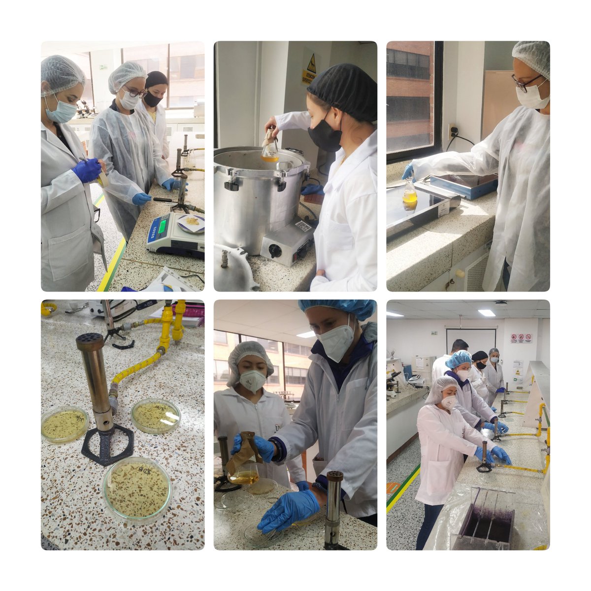 En la UNAD retomamos las prácticas un situ: Práctica de microbiología de los alimentos, programa Ing. de Alimentos <a href="/AlimentosUNAD/">Alimentos UNAD</a> <a href="/IngClaraS/">Clara Sanchez</a> @ECBTI_ZCBC <a href="/Ruthmarybe/">Ruthmary</a> <a href="/lauramreyes1/">lauramreyes</a> <a href="/pataclao3311/">Claudia P Lemos</a> <a href="/CaroLeonV1/">Carolina León </a>