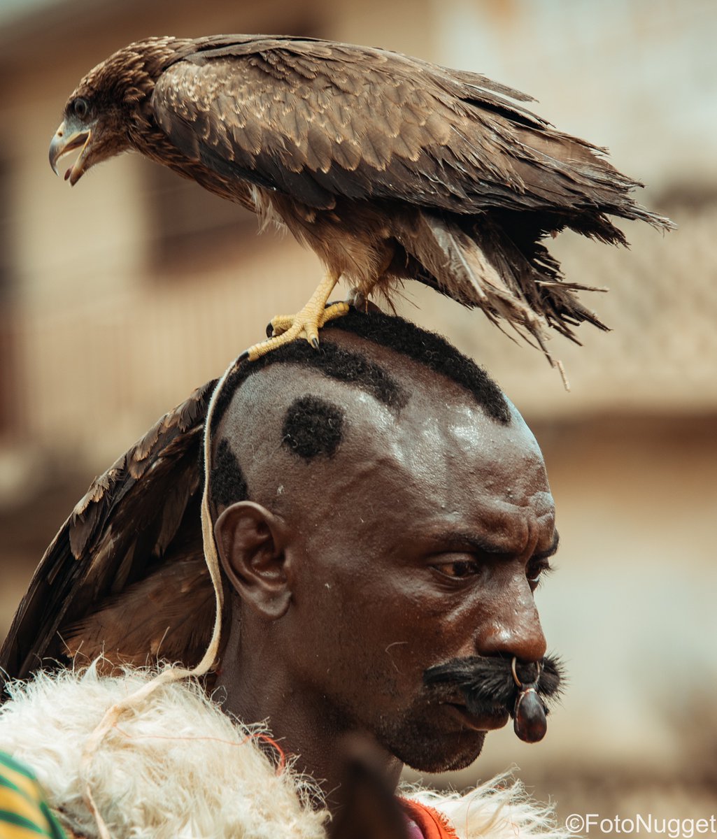 FotoNugget's tweet photo. Yesterday in Ilorin, Kwara State.

❤️🦅 https://t.co/qft7SLOt8a