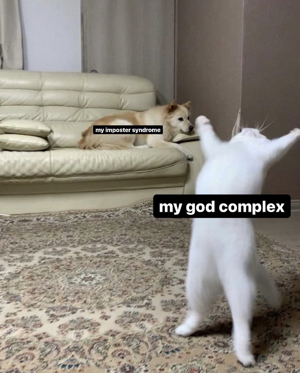 Imaan Sheikh tweet media