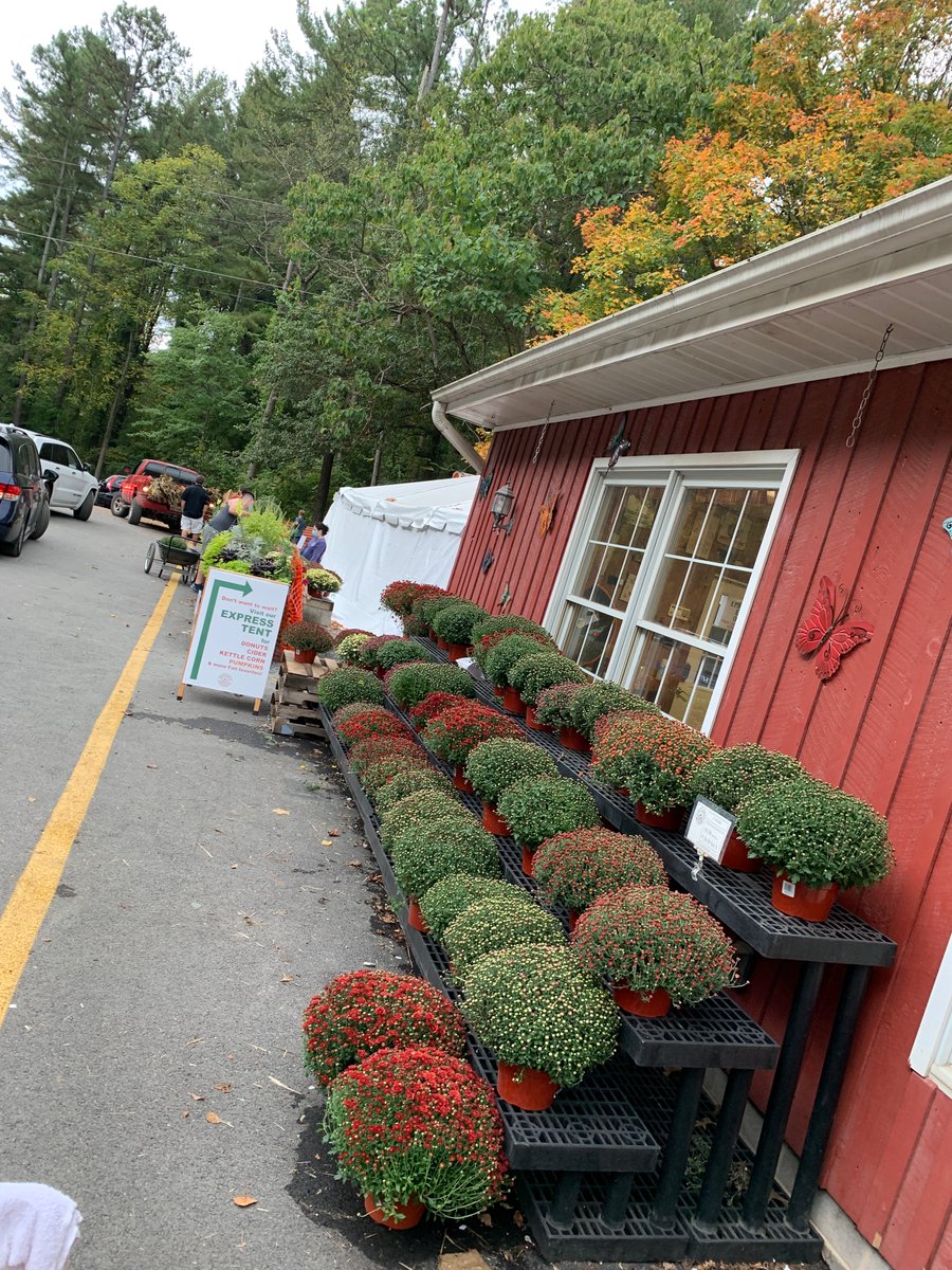 Will Jawando tweet media