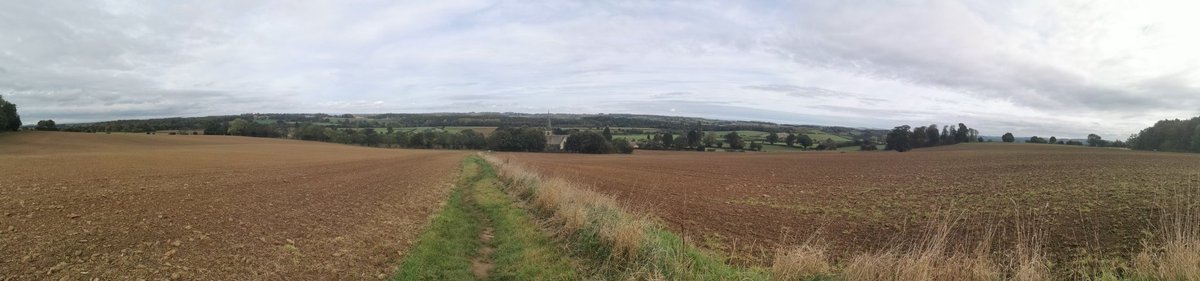 stephaniejmoon's tweet photo. Stunning #work and #vanlifr combined day today with a great walk @CastleHowardEst #prettywood #queenvictoriagate #kingoak oldest tree In #castlehoward.
Then off yo work tonight #chefstBle @gillythecook #cooksplacemalton https://t.co/LCQtvQMyxg