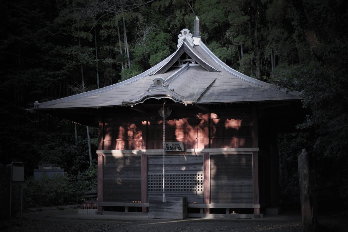kakehida tweet picture