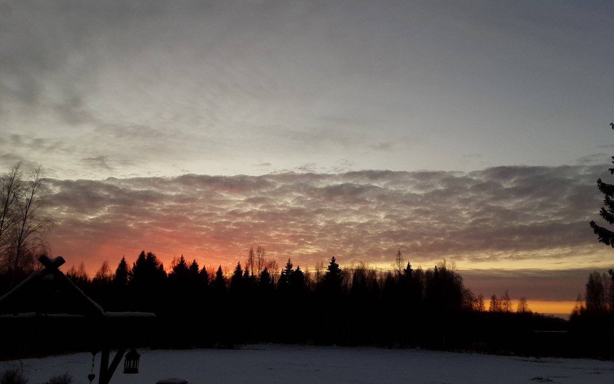 Ari Kela (@arikela_) on Twitter photo 