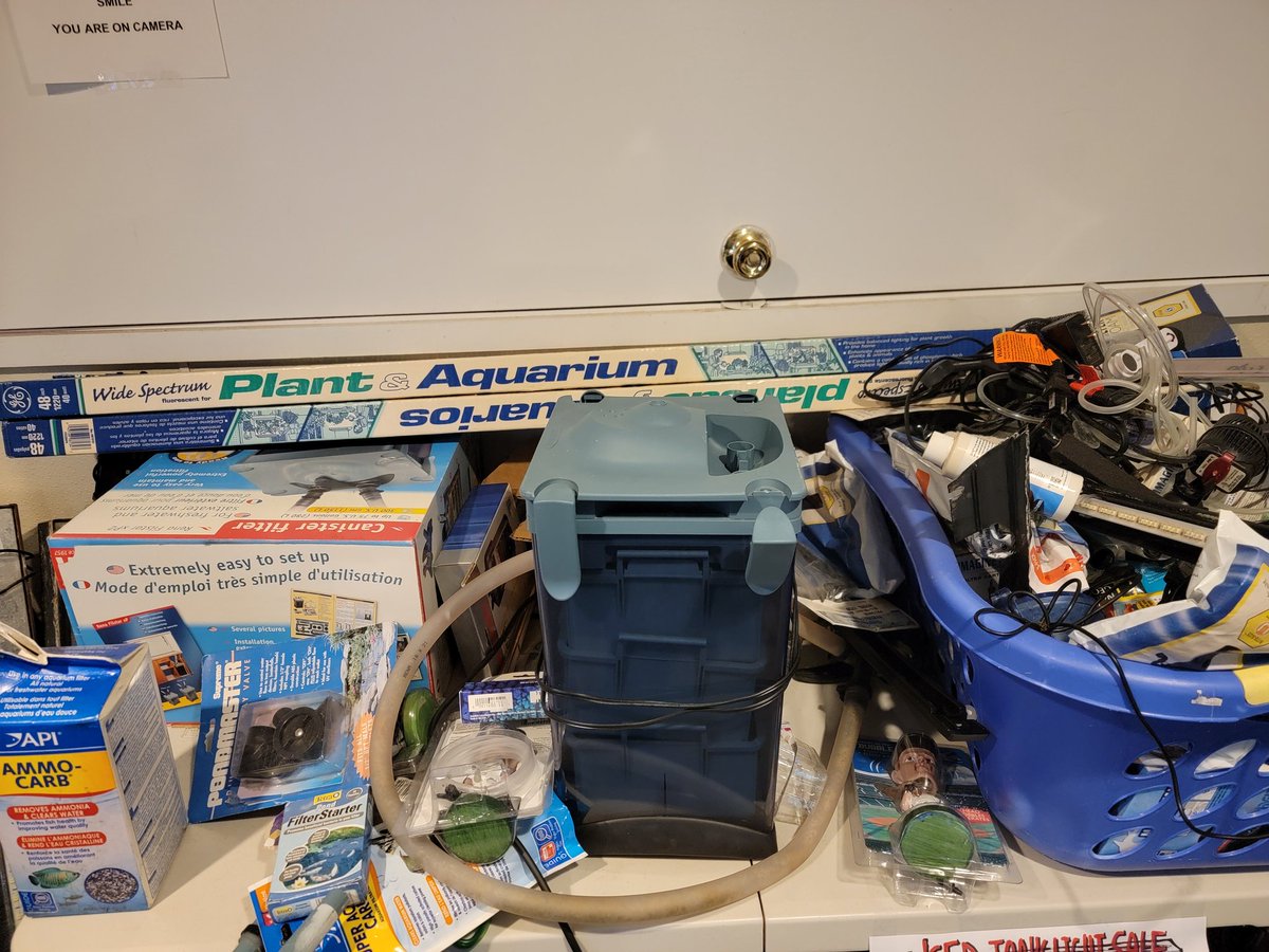 Royal_Tropical's tweet photo. Need some space.
So everything on this table is only 1$ today and Sunday https://t.co/c9pg8V2j3k