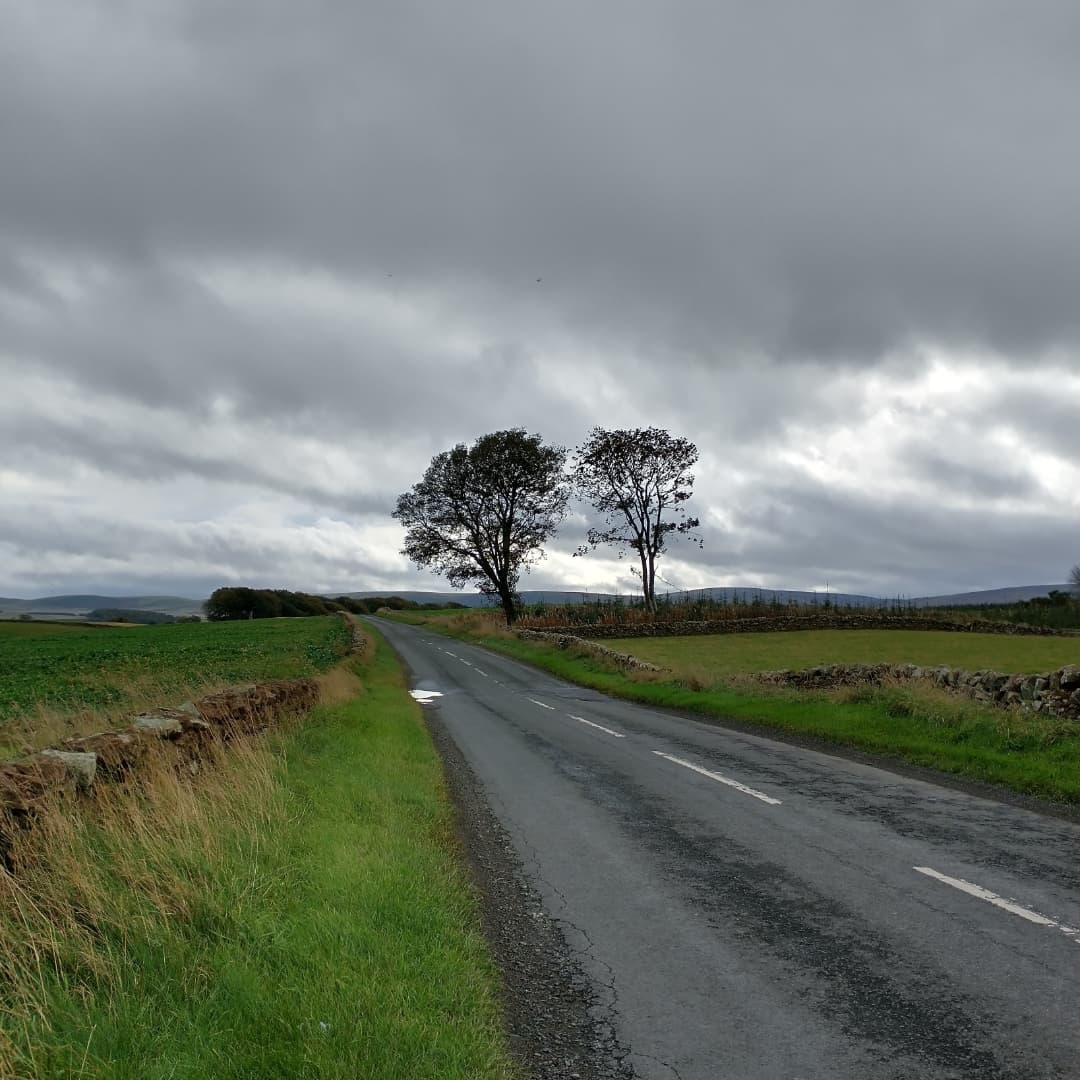 philipianhall's tweet photo. Decent Enough And I was Determined To Get At Least One Proper Ride In This Week But Oh That Fucking Wind - It Just Never Really Stops Does It
#scotland #cycling
#midlothian #borders
#65miles #105km
#saturday https://t.co/vR6T7U7hFp