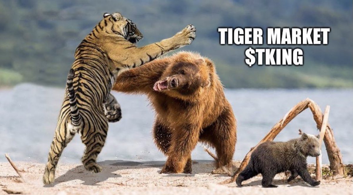 Медведь силен и. Медведь Гризли против тигра. Медведь Гризли против Льва. Бурый медведь против тигра. Лев против тигра против медведя.