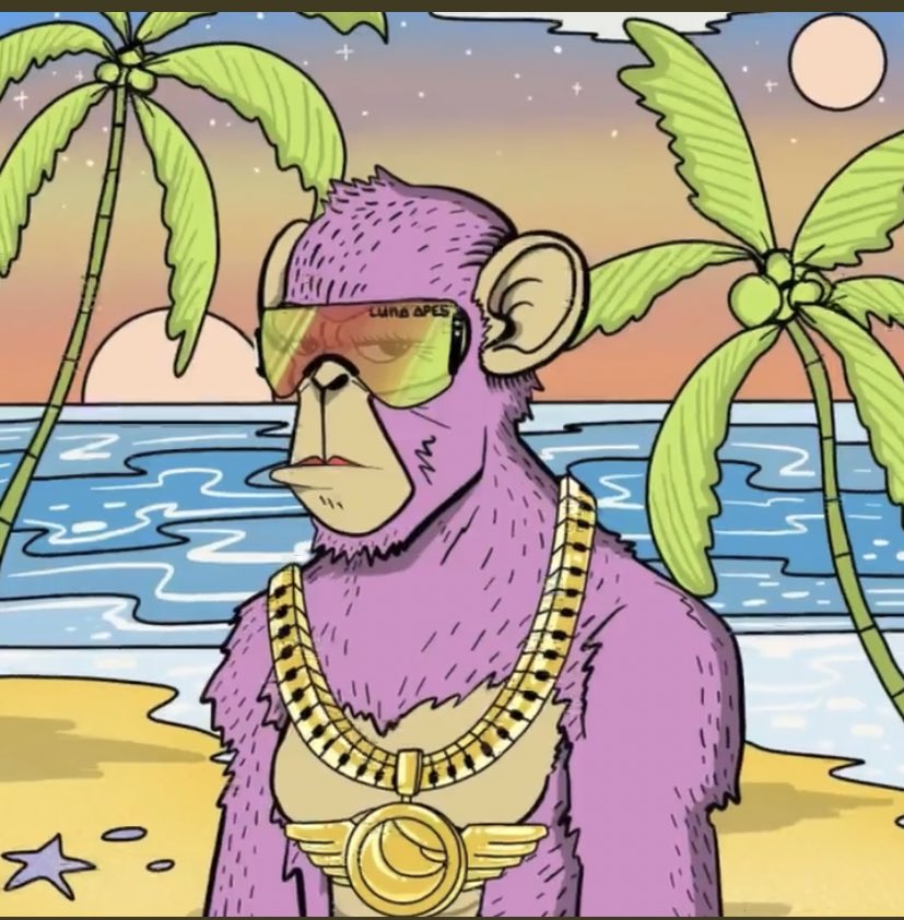 Huiyoooo's tweet photo. @Luna_Apes HEY YOU yes you… imma bad apes beach 👁👃🏼👁 #joinLAD #sneakpeekLAD #LunaApes https://t.co/DgaeznNpp6
