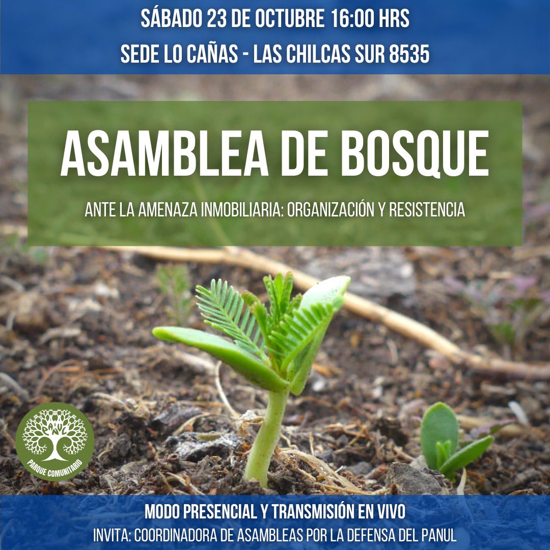 Atención  hoy asamblea de bosque en sede lo caña 16:00 HRS  todos a organizar y defender a nuestros querido bosque <a href="/RedPanul/">Red Precordillera</a> #panulparquecomunitario #bosquepanul