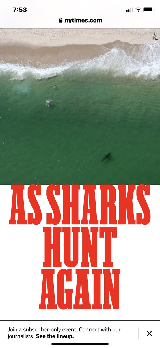 DottyEllipsis's tweet image. Beware the assharks!