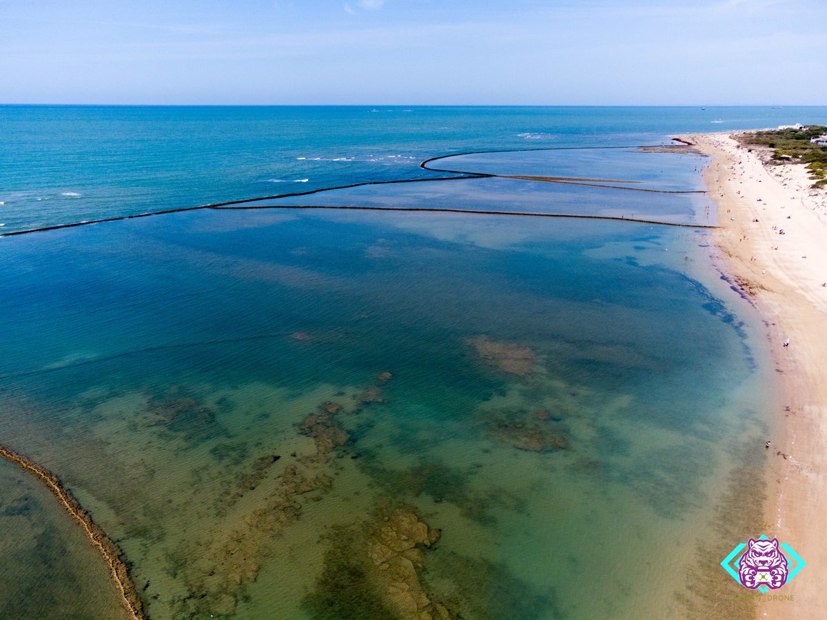 svq_fly's tweet photo. Los corrales de Chipiona, Cádiz 😍

Se dice que datan de la época árabe. Cada corral está dividido en pequeñas parcelas formadas por piedras 👳🏾‍♀️🎣

Los peces merodean en su interior con la marea alta y cuando baja quedan encerrados en el corral🌊

#hacerfotos #drone #nature #cadiz https://t.co/XhOOEO0FFg