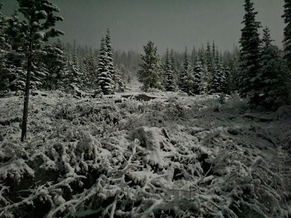 SMgillicuddy's tweet photo. Moon+snow https://t.co/P35AkmhZdc