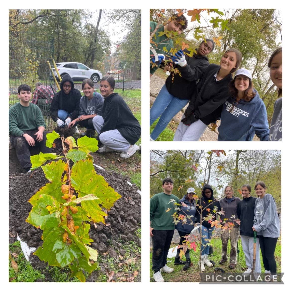 councilrockeac's tweet photo. #EACupdate : Tyler Park Reforestation Project! @DevlinRenee @SkelliottSusan @CouncilRockSD https://t.co/d22mfV7Vz9