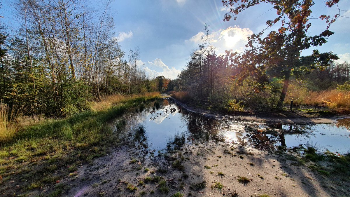 brewbart's tweet photo. #GrooteHeide en #Leenderbos https://t.co/JWOD5zxVic