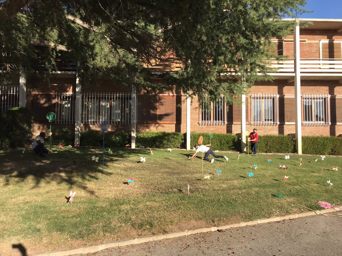 Miguel Dionis tweet media