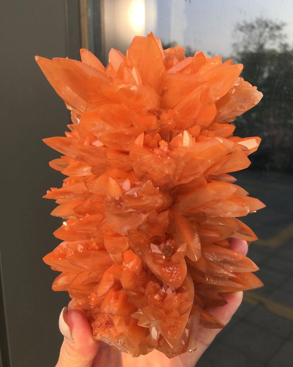 Orange Red calcite clusters!! 

Photo: XUE_mineralcollector

#minerals