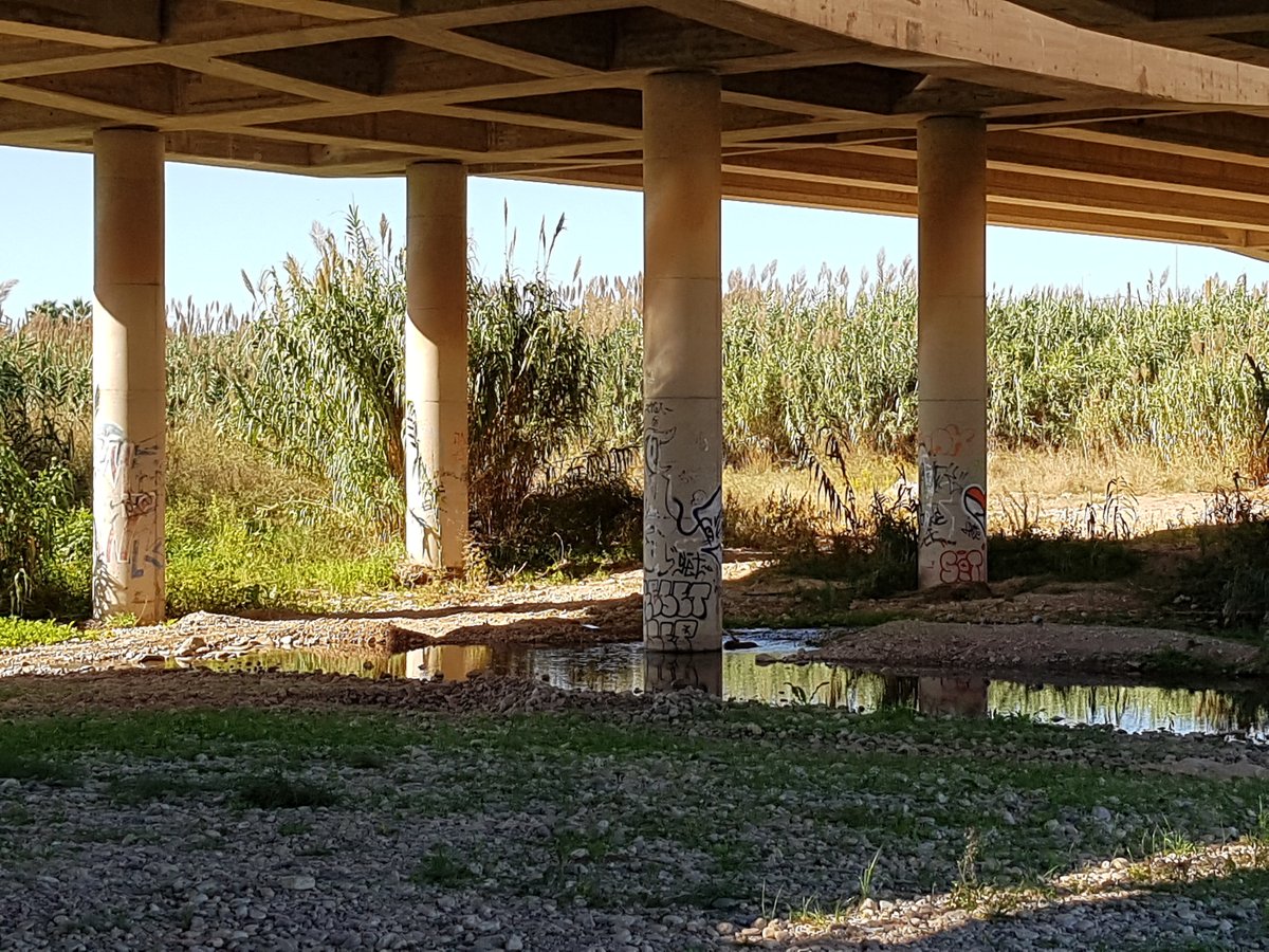joan_ru_ca's tweet photo. 21. I el riu, que li passa al riu, doncs porta aigua, en aquella bassa on els anecs s'ho passen en gran hi ha aigua, poca, pero n'hi ha (els ànecs no hi eren, estarien amb els equirols de #SPiSP?), aigua que arriba fins al pont de la A7 https://t.co/JGRhT0eccc