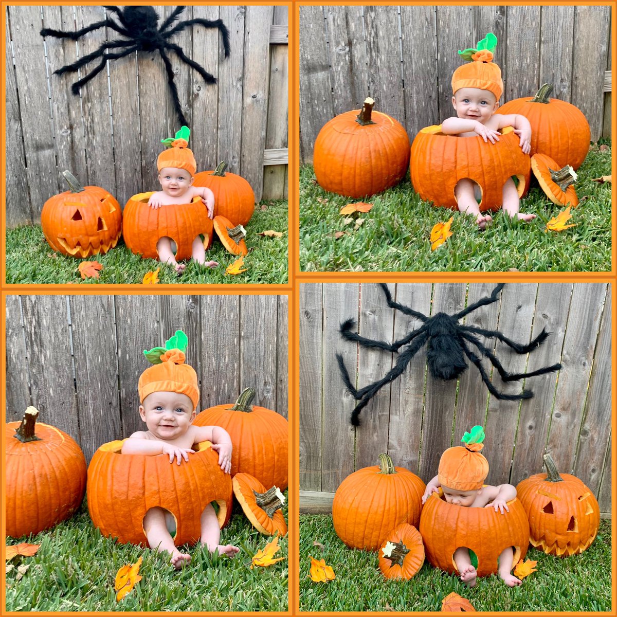 LauraRinTexas's tweet photo. NBD. Just a baby in a pumpkin! Happy fall, y’all! #pumpkin #baby #fall https://t.co/XMj2FV8aMS
