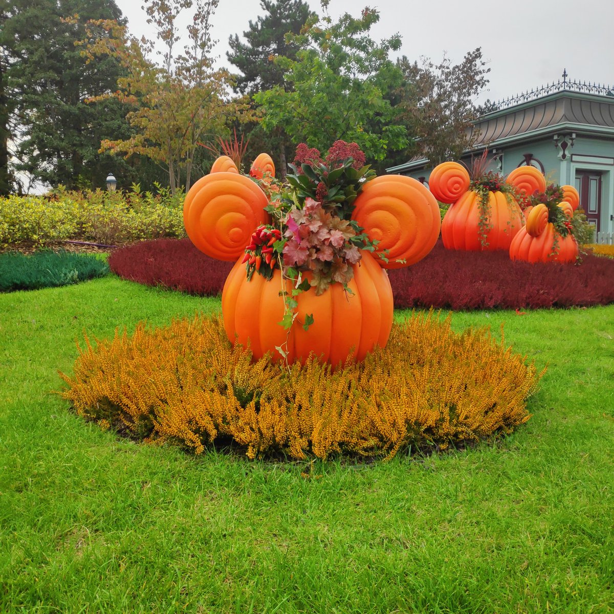 DisneyCarnival1's tweet photo. Avez-vous aussi comme @disneylandparis décoré votre intérieur aux couleurs d'#halloween ? Une chose est certaine, ces #MickeyPumpkins sont du plus belle effet dans le parc ! @disneyparks https://t.co/MVzRVJRewu