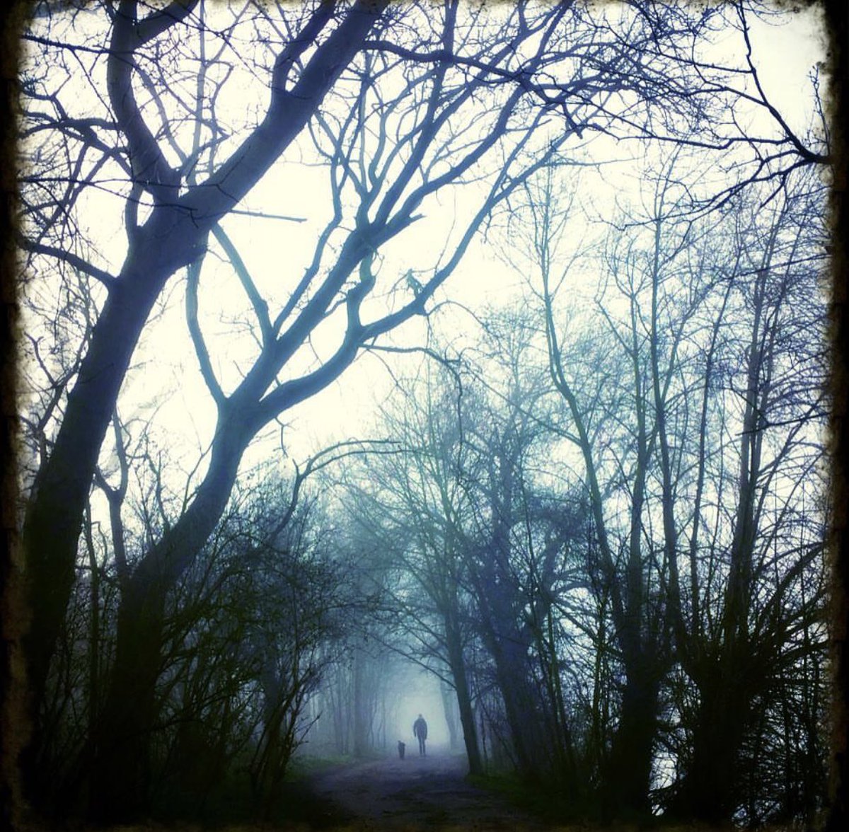 Love this old photo of Betty and me, RIP you absolute curly legend! 💔