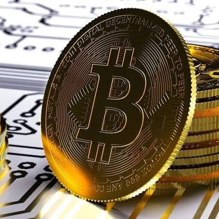 criptoelons tweet picture