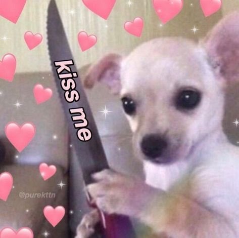 ไข่ต้ม (@yeonheethiefx) on Twitter photo 