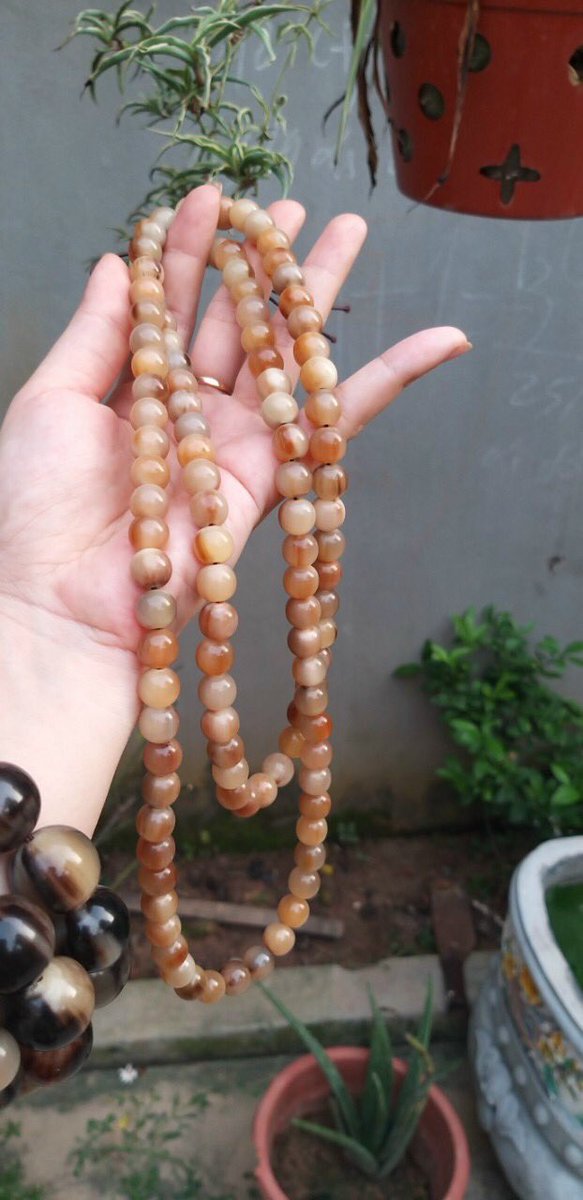 nvtram's tweet photo. Chàng hạt sừng https://t.co/dUZEQqZCha