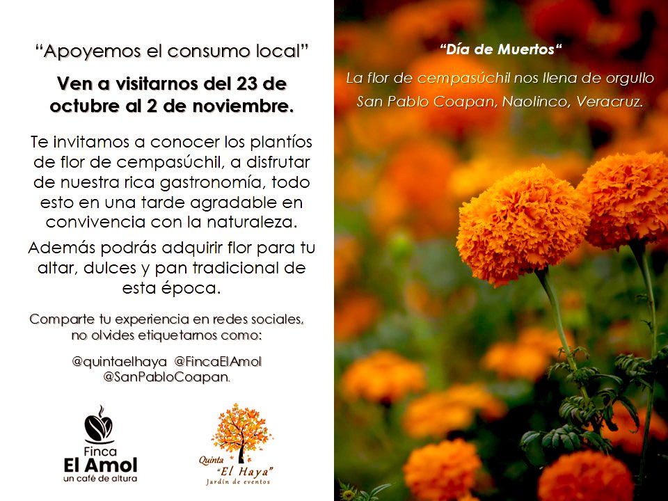 reportecx's tweet photo. A partir de hoy y hasta el 2 de noviembre, en San Pablo Coapan, municipio de Naolinco, Veracruz.

Ayudemos a difundir, por fa.
@VialidadXalapa 

#YoComproLocal
#YoApoyoElComercioLocal
#ApoyoElComercioLocal
#ApoyoComercioLocal
#ComproLocal
#ComercioLocal https://t.co/PRb2EiH68u