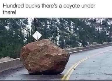 danintampa's tweet photo. https://t.co/jBVpwiMDVZ